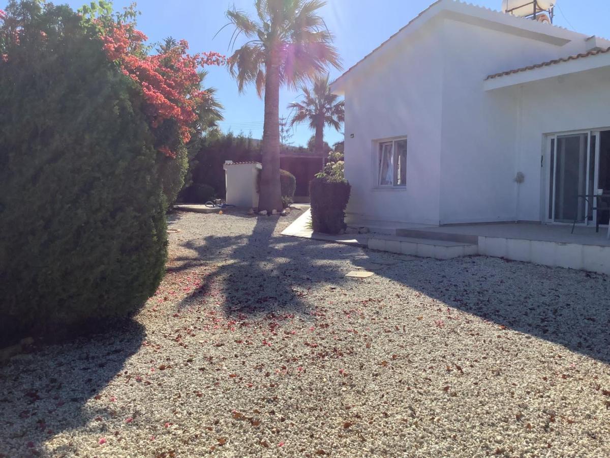 Villa Ambios Peyia Esterno foto