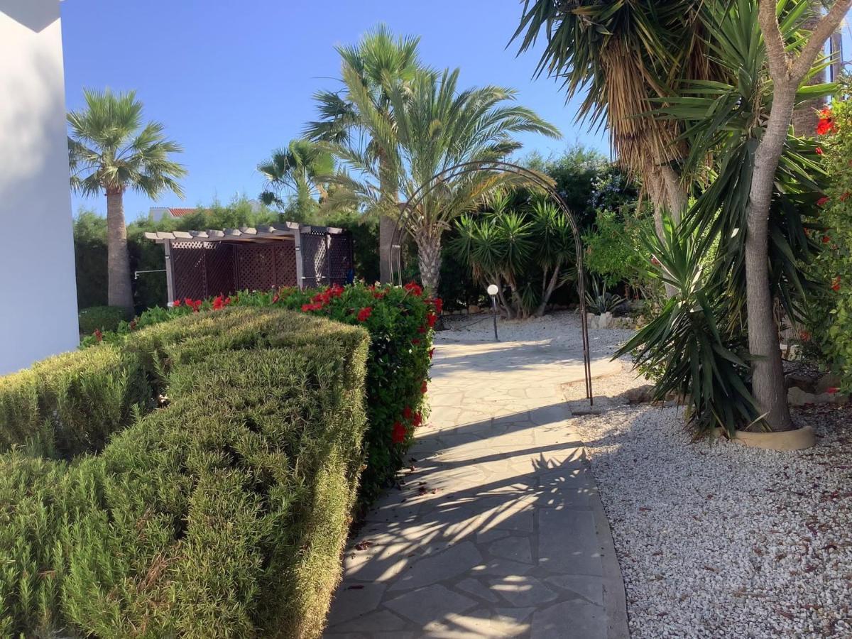 Villa Ambios Peyia Esterno foto