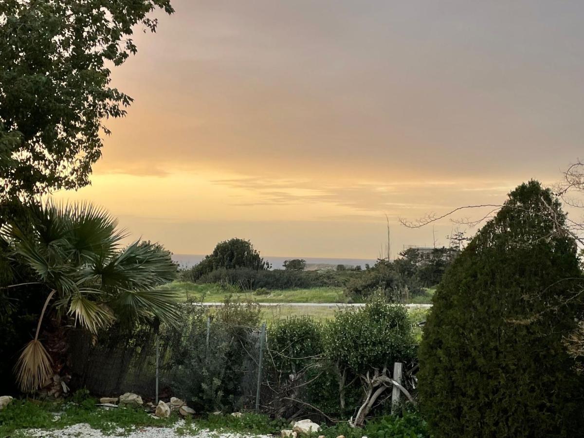Villa Ambios Peyia Esterno foto
